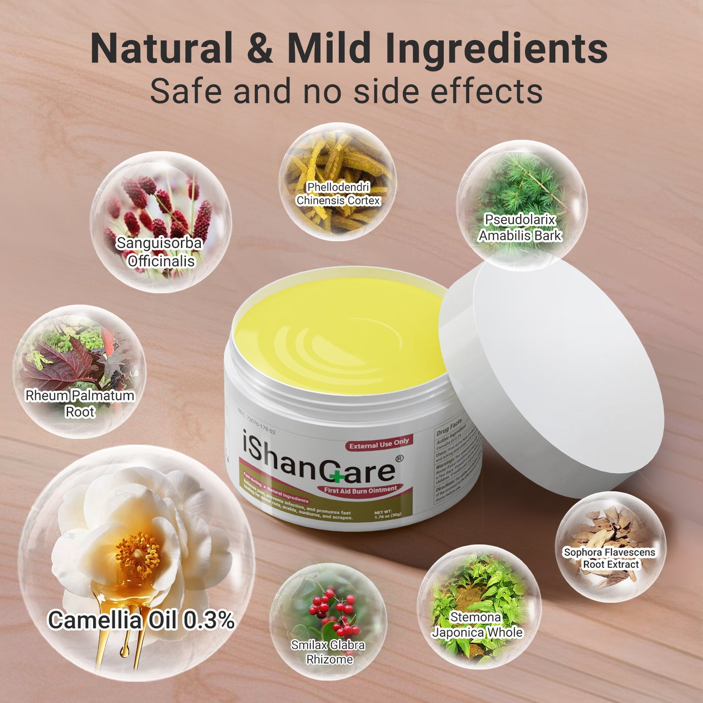 First Aid Burn Ointment with Camellia Oil, Fast-Acting Natural Relief for Burns, Sunburns, Cuts & Scrapes, Ensitive Skin Safe