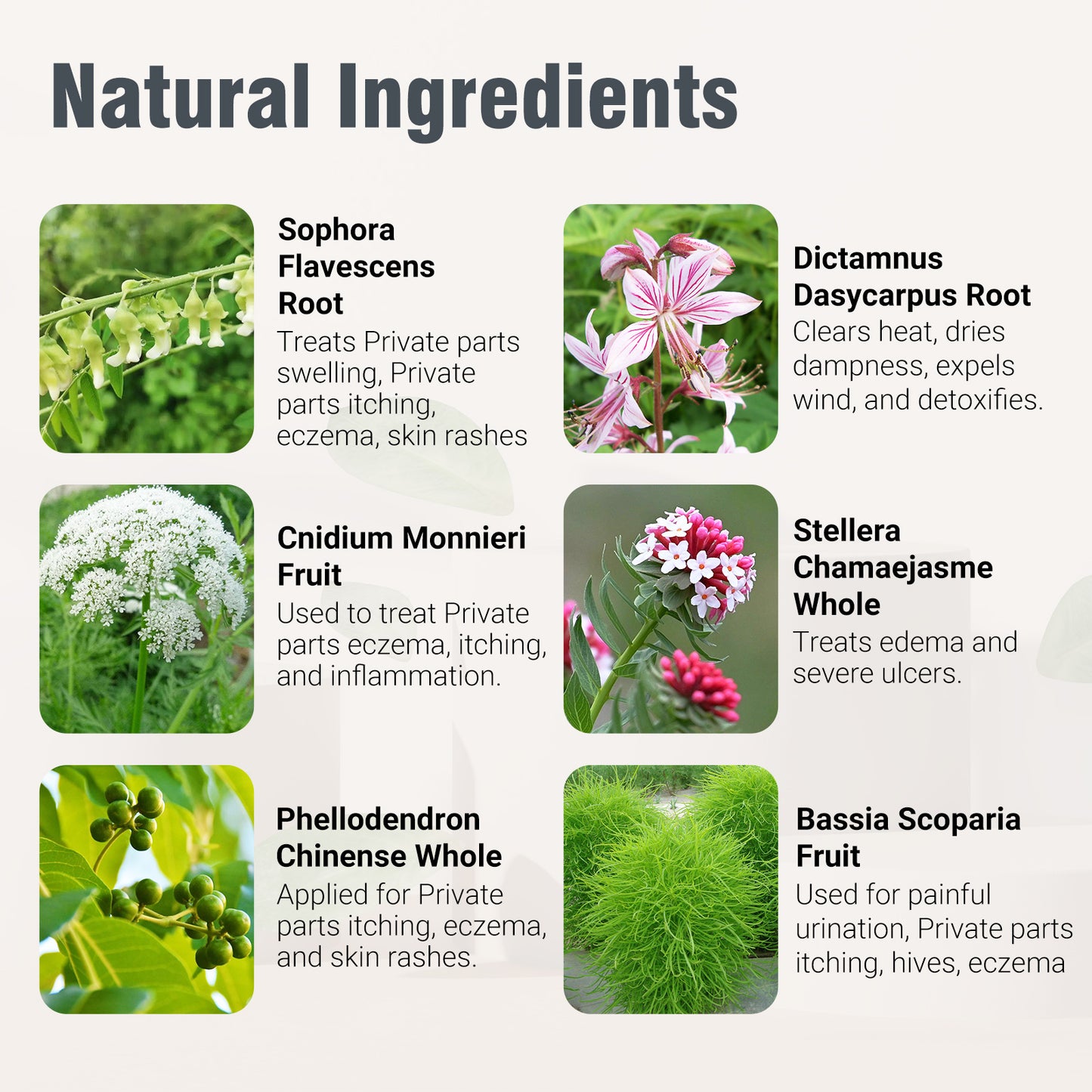 ishancare Balanitis Treatment Cream, Balanitis Relief, Organic Natural Ingredients, Soothing Skin, Itch Relief, Dryness, Redness, Irritation and Chafing - 3.53oz