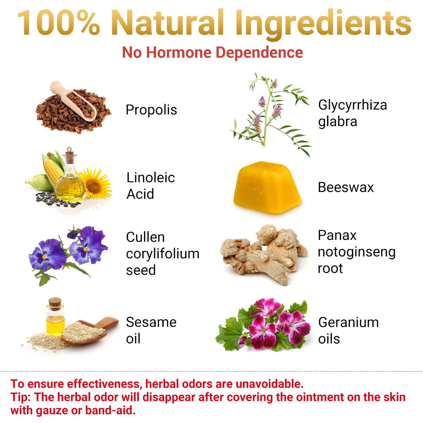 iShanCare® Wound Care Ointment - Maximum Healing for Cuts, Gash, Scratch, Stab, Traumas, Bite, Abrasions, Bed sores, Pressure Sores, Ulcers, Leg and Foot Wounds, Natural Wound Healing Ointment