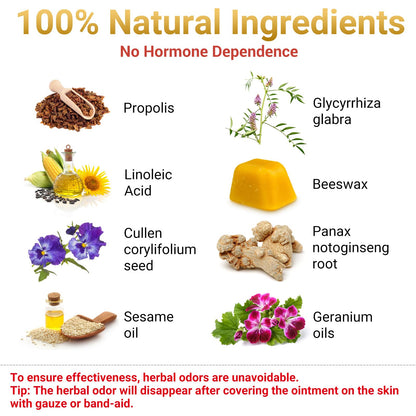 iShanCare® Wound Care Ointment - Maximum Healing for Cuts, Gash, Scratch, Stab, Traumas, Bite, Abrasions, Bed sores, Pressure Sores, Ulcers, Leg and Foot Wounds, Natural Wound Healing Ointment