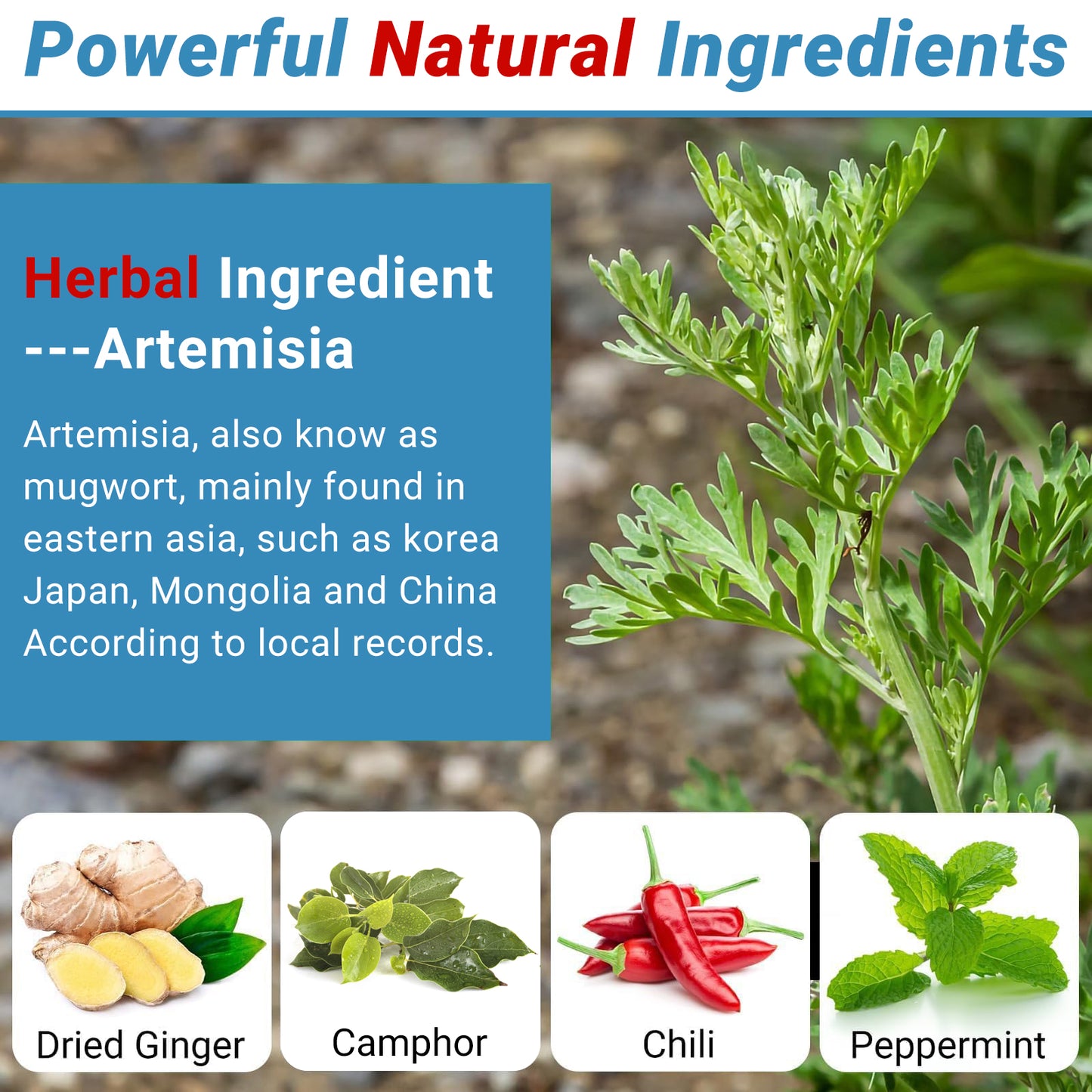 iShanCare Pflaster zur Linderung von Rückenschmerzen, 16 Stück, einzeln verpackt, natürliches Kräuter-Wärmepflaster, 8 Stunden tiefe Wärmelinderung für Rücken, Nacken, Knie, Schulter