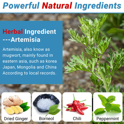 ishancare Pain Patches, 10 Count Single Individually Packaged Heat Patches, 8 Hour Maximum Strength Joint Hot Patches, Fast Acting Natural Herbal Soothing for Knee, Back, Neck, Shoulder