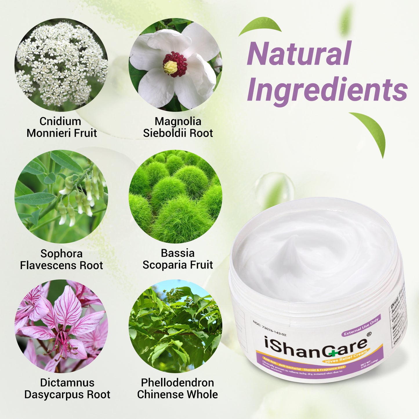 ishancare Urticaria Cream, Fast Acting Relief of Hives, Allergic Rashes, Itchy Skin, Redness, Swelling, Anti Fungal Hives Cream with All Natural Herbal Ingredients, 3.53 Oz